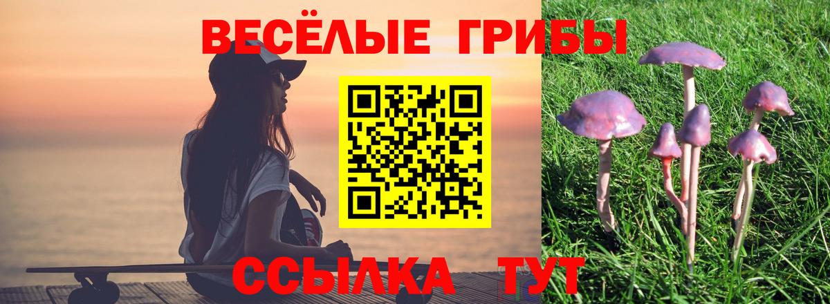 Галлюциногенные грибы мицелий  Вход с VPN  Галлюциногенные грибы Magic Shrooms  Луховицы 